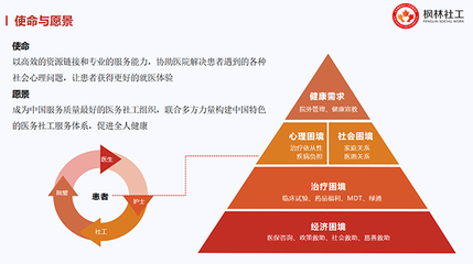 健全重特大疾病保障網(wǎng)，賦能醫(yī)務(wù)社工與咨詢服務(wù)業(yè)發(fā)展